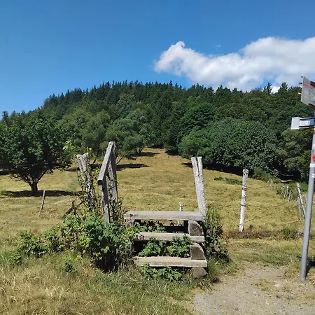 Un Air D'alsace Ferienhaus Rimbach-près-Guebwiller
